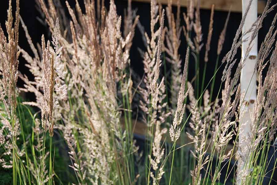 what people say brighton garden design reviews
